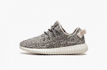 adidas Yeezy Boost 350 Turtle Dove